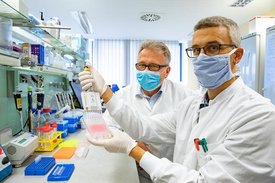 Erfolgreich: Dr. Berislav Bosnjak (rechts) und Professor Dr. Reinhold Förster (links) in einem Labor ...