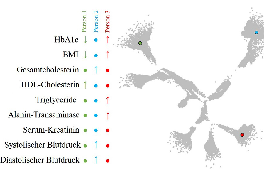 Darstellung verschiedener Unterformen des Typ-2-Diabetes in einer intuitiven Baumstruktur