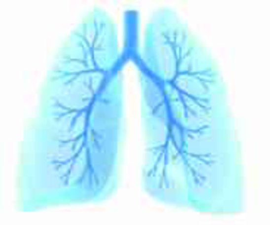 Wenn das Atmen schwer fällt - Die wichtigsten Fakten zu den